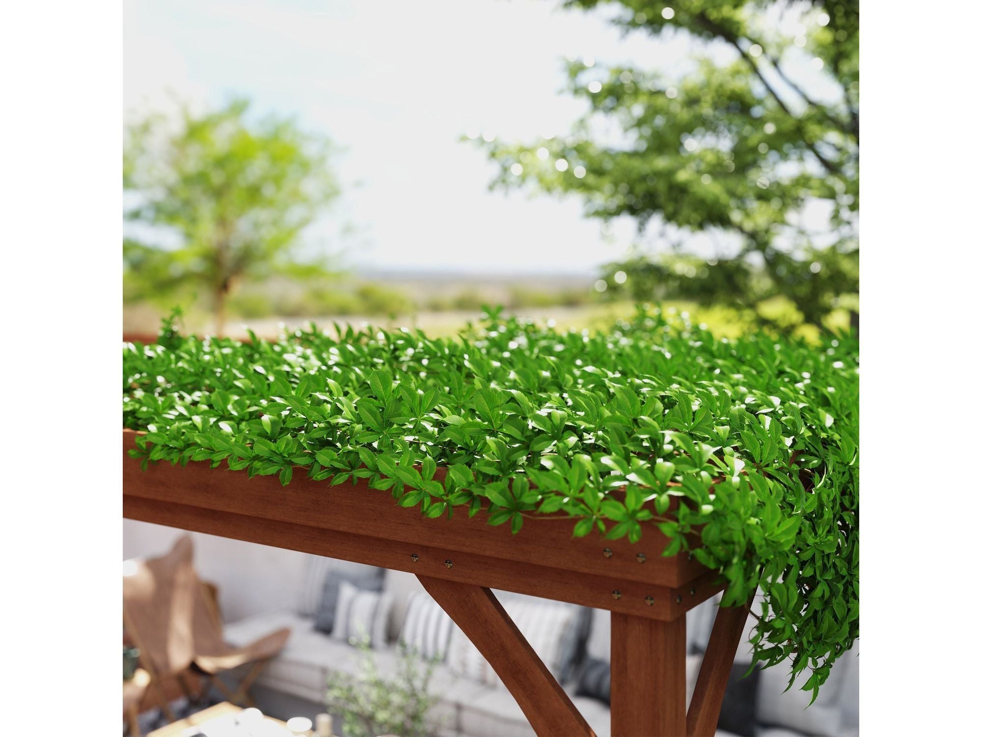 12' x 20' Outdoor Wooden Pergola - Brown