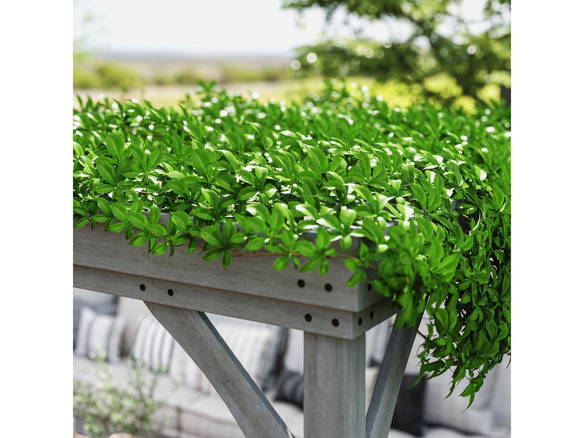 12' x 20' Outdoor Wooden Pergola - Gray